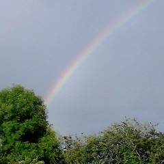 Dont go chasing rainbows