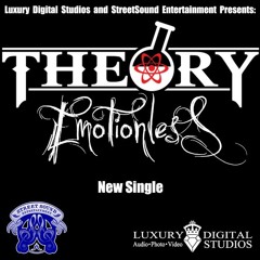 Theory