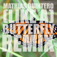 (Like A) Butterfly ft. Danny Darko & Jova Radevska (Remix)