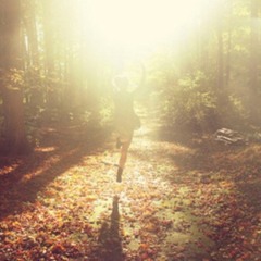 Felt - Sunlight Bathed The Golden Glow