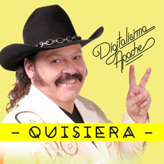 Quisiera