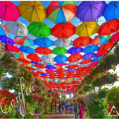 MEEL-Confia (ChoGang)