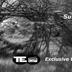 Subconscious Control - Maxx And Nomad Spectrum 20 - 0714