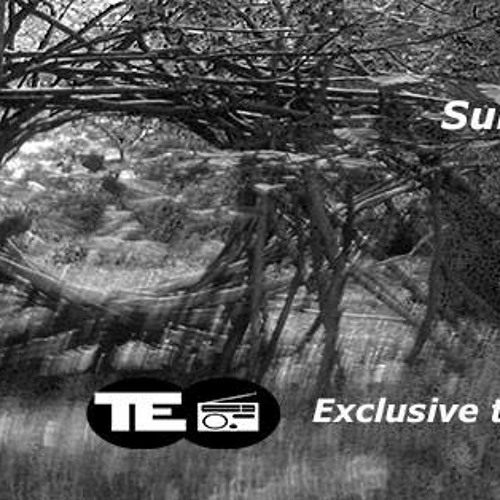 Subconscious Control - Maxx And Nomad Spectrum 20 - 0714