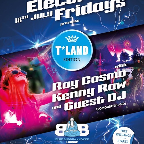 Ray Cosmo @ Blue Buddha Bar (Electric Fridays 18 - 7-2014)
