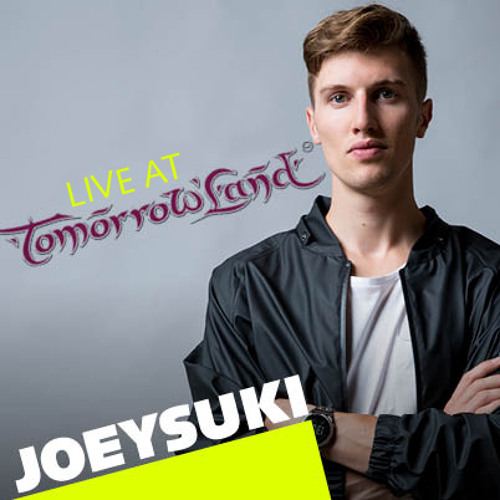 JOEYSUKI Live at Tomorrowland 2014