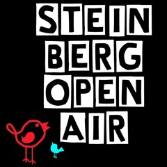 Marky @ Steinberg OpenAir (2014-07-1)