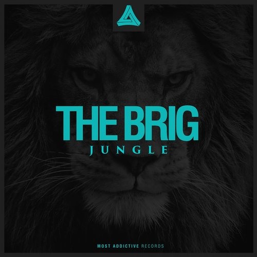Jungle
