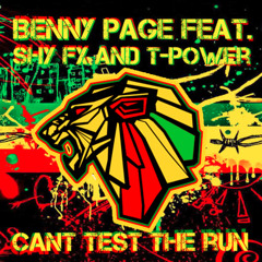 Benny Page feat. Shy Fx & T-Power - Cant Test The Run (TheRipper Mashup)