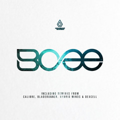 BCee feat. David Boomah - Typical Description (Calibre Remix) - Spearhead Records