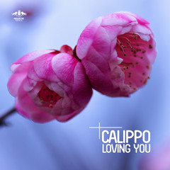 Calippo - All Day (Original Mix)