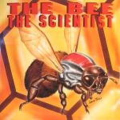 The Scientist - The Bee (Buzzin Mix)
