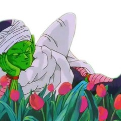 - PICCOLO -