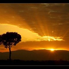 DJ Rivias And Darkside - Our Last Sunrise