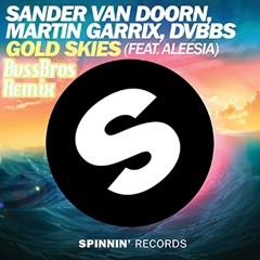 Gold Skies - Martin Garrix Ft. Sander Van Doorn & DVBBS (BvssBros Remix)