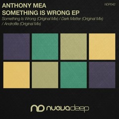 Anthony Mea_Something is Wrong_ChrisDomingo_Remix2