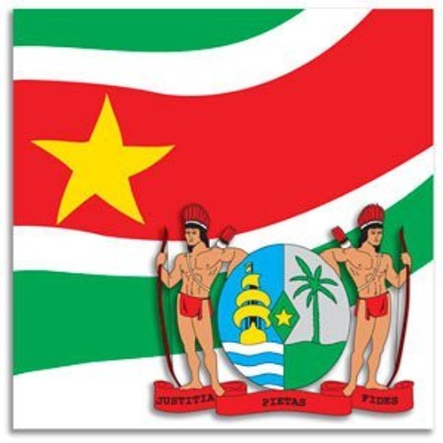 Как выглядит флаг suriname