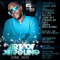 Seani B's Art Of Juggling  June 2014