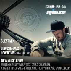 Low Steppa on Rinse FM Guest Mix Codec 18th July 2014