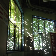 ”Outro” Senna's traveler remix