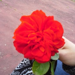 BARBO COTIE -SMAVEN- Aifa Anw Edaiiiii.MP3