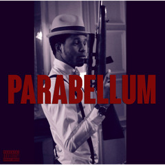 TYCOON "PARABELLUM" Booba LMLVSB remix
