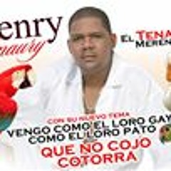 Sabroso y tenaz el loro gay merengue nuevo 2014
