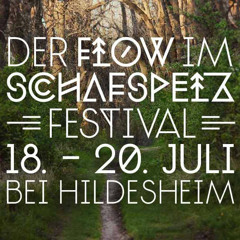 Mitschi @ Flow Im Schafspelz 2014