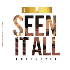 Goldie- Seen it all Freestyle