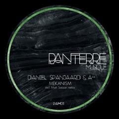 PAM011 : Daniel Spanjaard & A++ - Mekanism (Matt Sassari Remix)
