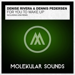 Denise Rivera & Dennis Pedersen - For You To Wake Up (Dub)