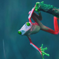 Necro420 - Funk Neuro Glitchy Mixy