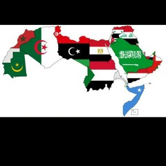 مهرجان-  دج فيلو - القمة - شارع 8