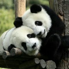 Endless Love ft bapak drmh asal bgt keyboard by om heri hutagalung