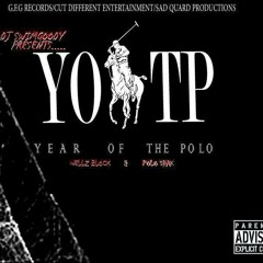 Liquor Bitch & Niggas Ft. Wellz