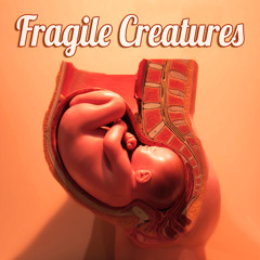 Fragile Creatures