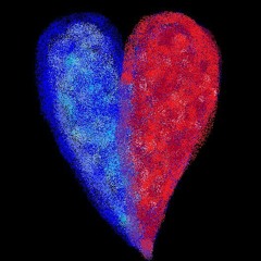 The Barnacle And The Guppy