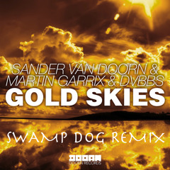 Sander van Doorn, Martin Garrix & DVBBS - Gold Skies (SWAMP dog Remix)
