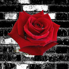 LOOKING FROM A HILLTOP featuring Melissa Burns