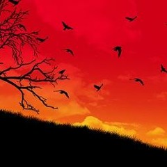 No Importa (Guitar Solo)