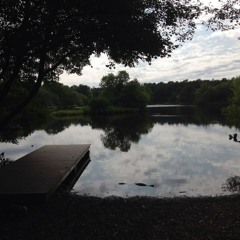 Wintergreen Improv by Bernard Lee - Sax and Michael Wells - KB