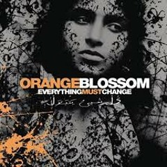 ORANGE BLOSSOM - Habibi