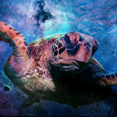 Turtles With Beards - Outerspace (Original Mix)