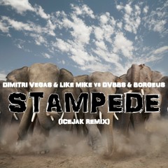 Dimitri Vegas & Like Mike Vs DVBBS & Borgeus - Stampede (Hardstyle Remix)