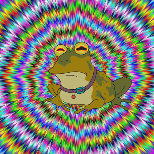 Nyama - Licking Frogs preview (released soon on VA Tested on Aliens)