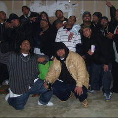 The Newz Ft Totally Insane