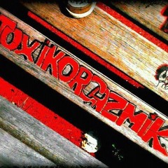 TOXIKORGAZMIK  Silyfirst - Skymate Remix