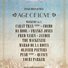 Cosmo @ 10 Years Tomorrowland (Age Of Love Stage)wkd1