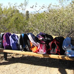 Children of the South