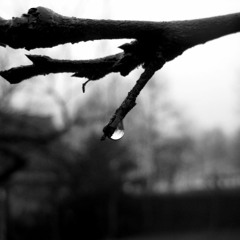 TMLN ft MAGI  - Duuljil suuna